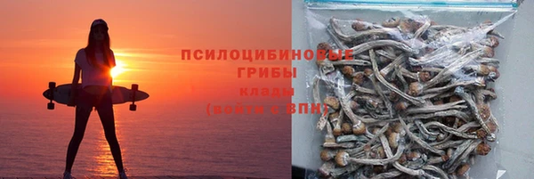 стаф Балахна