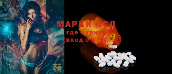 стаф Балахна